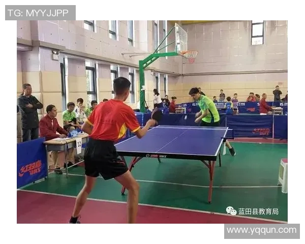 西安乒乓球队运营模式解析与发展策略探讨